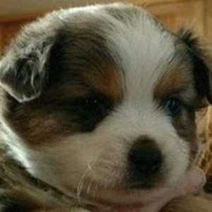 Meet your Posher, Necole